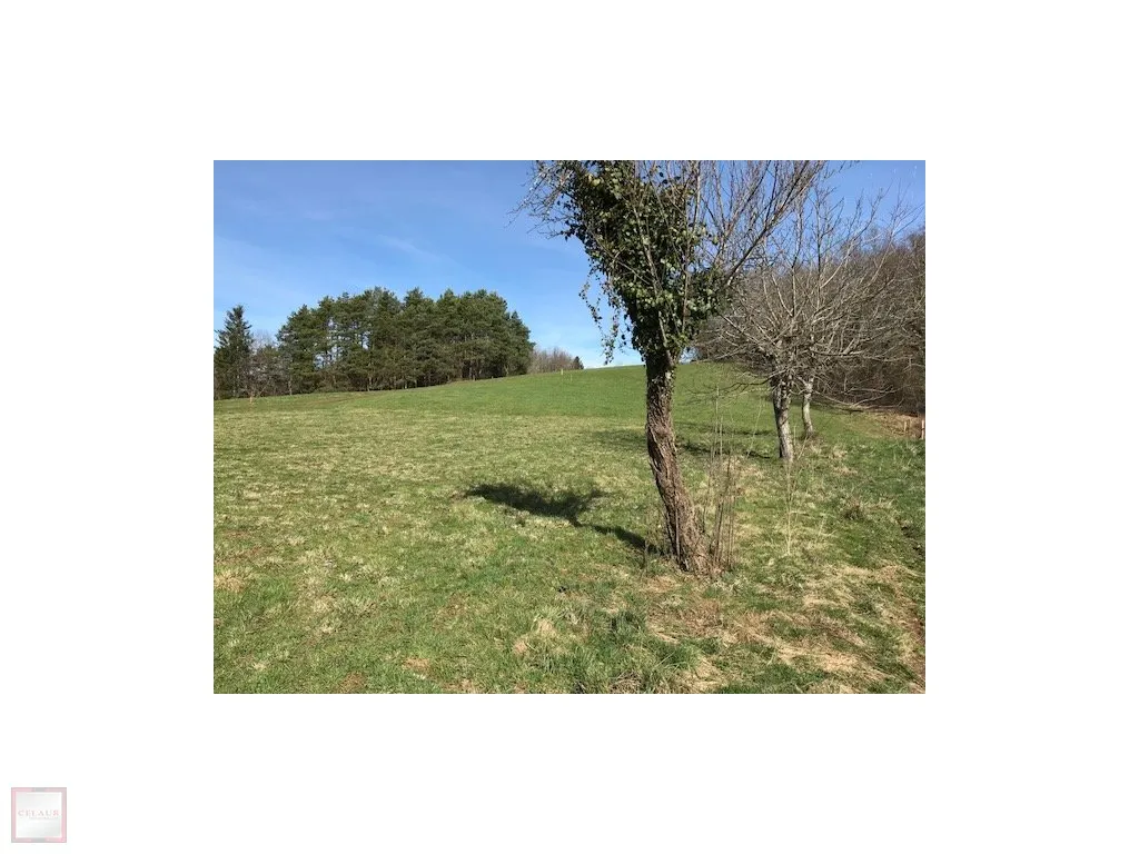 BEAU TERRAIN PLAT A BATIR