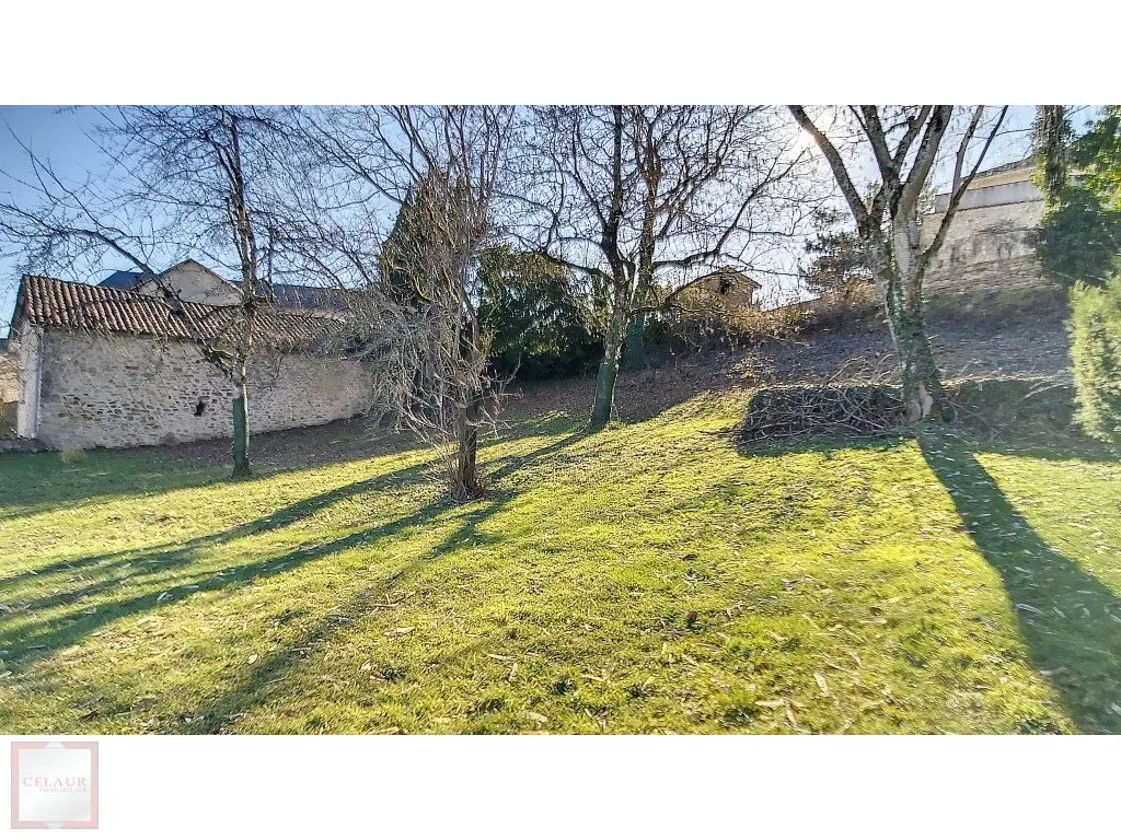 ENSEMBLE EN PIERRE DE CARACTERE