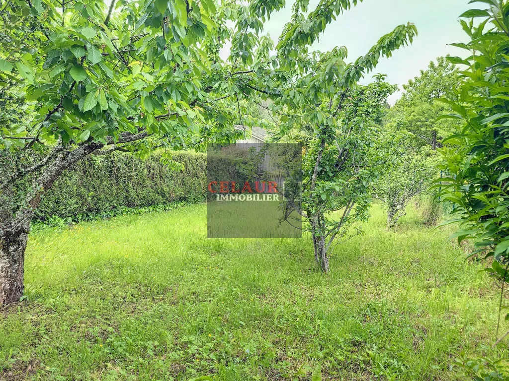 Maison mitoyenne avec jardin