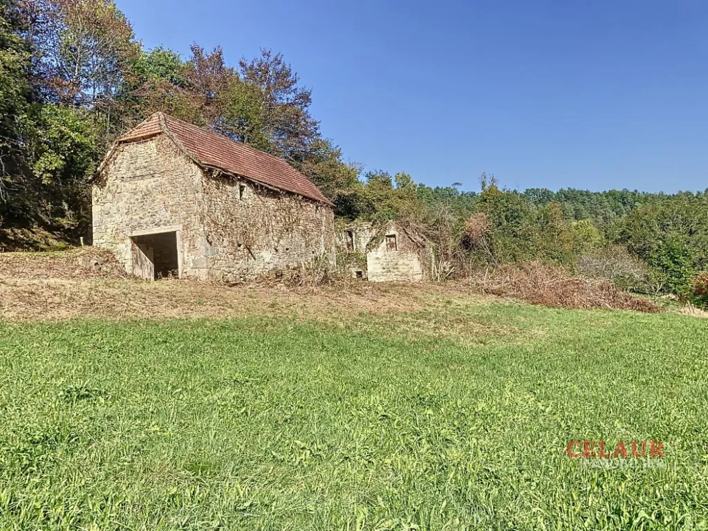 GRANGE A RESTAURER SUR 1.3 HA