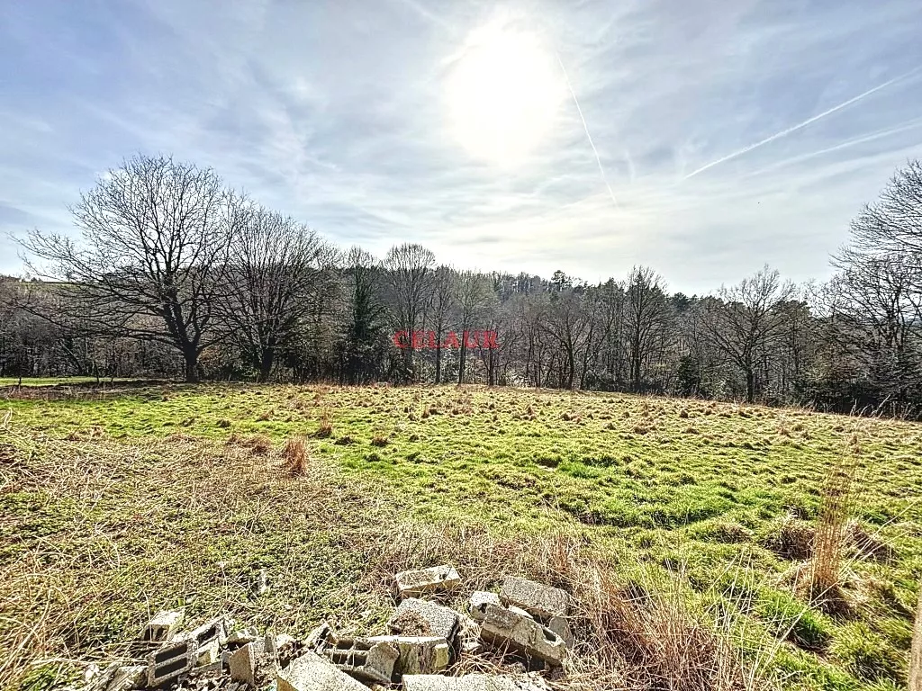 MAISON EN PIERRE R&Eacute;NOV&Eacute;E AVEC GRANGE, HANGARS, BATIMENT DE STOCKAGE ET TERRAIN