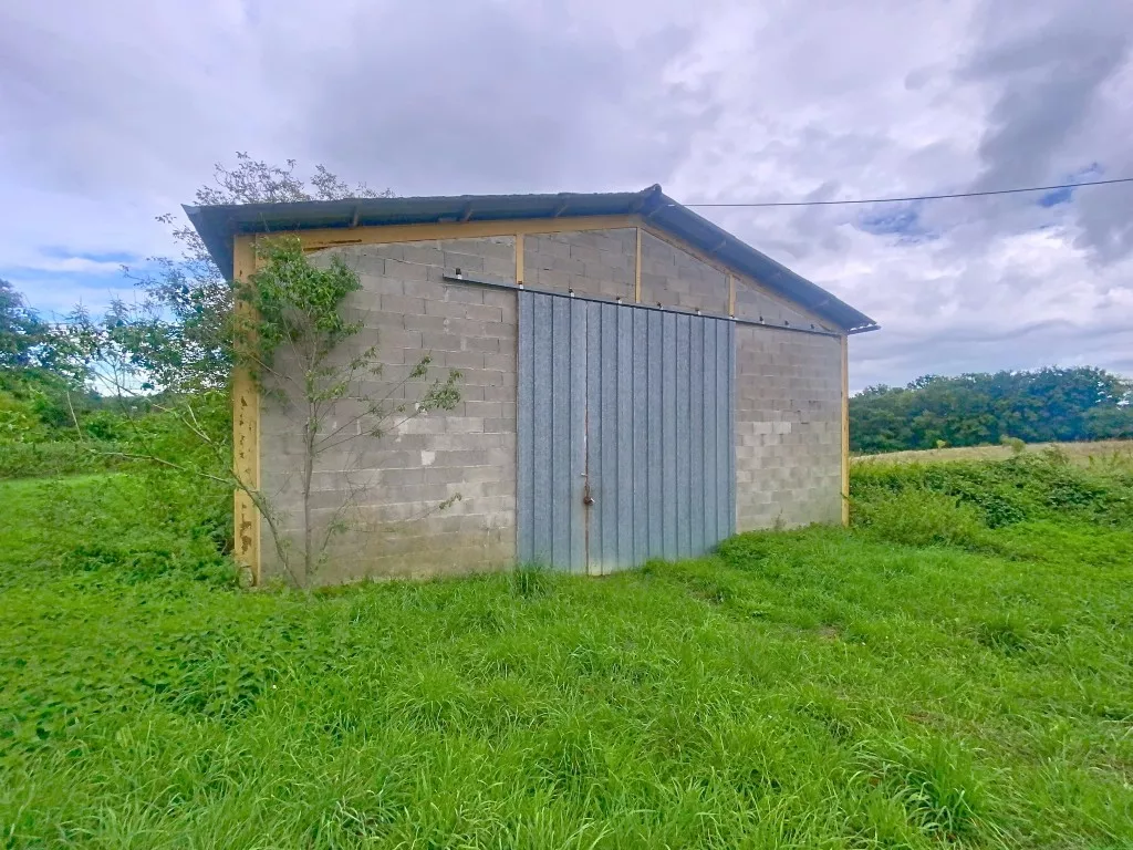 Propri&eacute;t&eacute; &agrave; restaurer