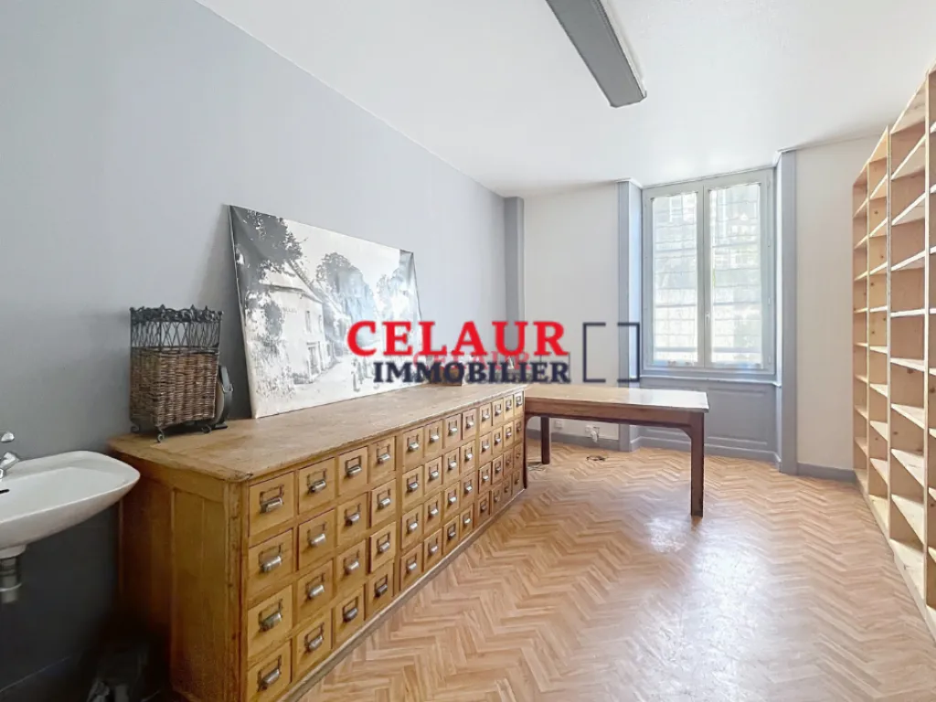 BEL APPARTEMENT RUE JEAN JAURES