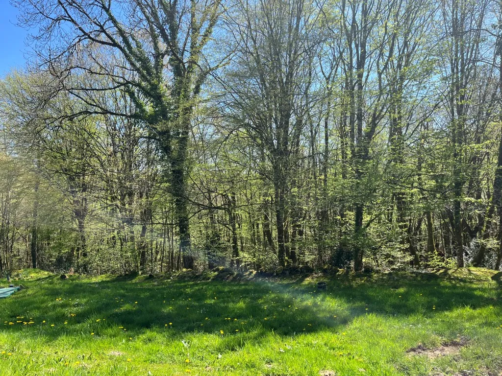 BELLE MAISON de CAMPAGNE sur 1 ha