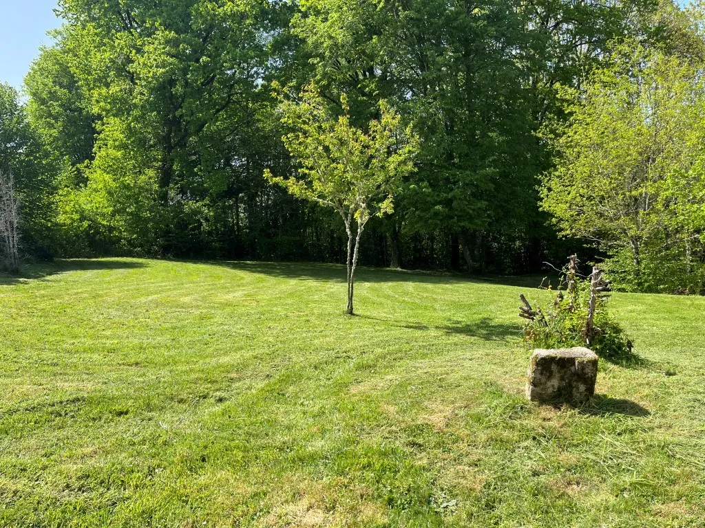 BELLE MAISON EN PIERRES SUR BEAU TERRAIN DE 4500m&sup2;