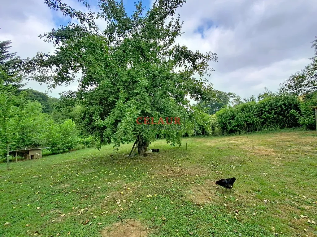 Ensemble en pierres avec 2454m&sup2; de terrain
